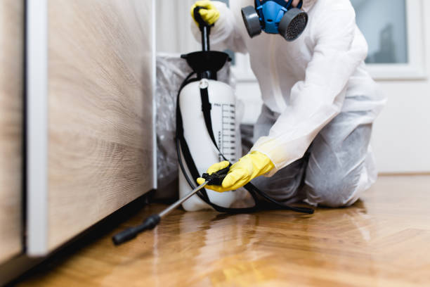 Best Rat Extermination Near Me  in Shelby, MT
