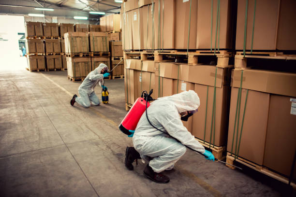 Reliable Shelby, MT Pest Control Solutions
