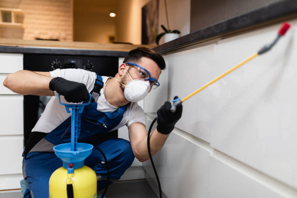 Best Pest Inspection Near Me  in Shelby, MT