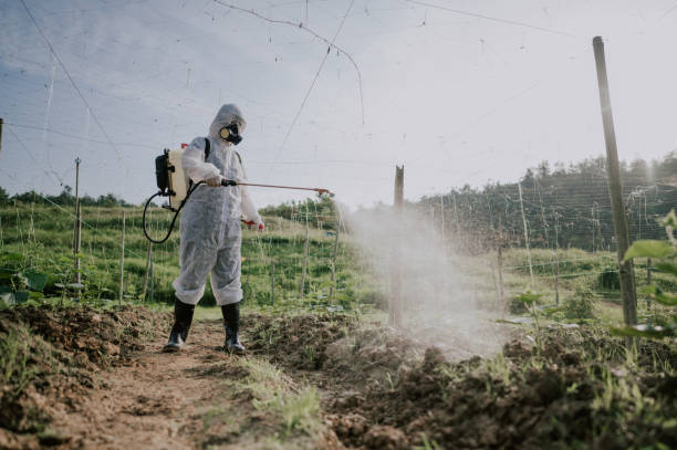 Best Best Pest Control Companies  in Shelby, MT
