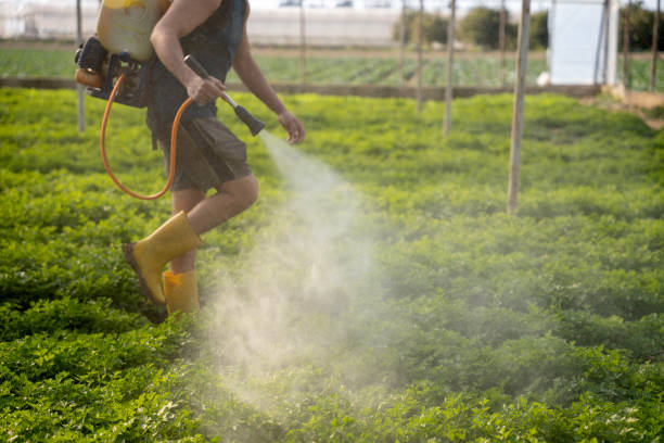 Best Residential Pest Control  in Shelby, MT