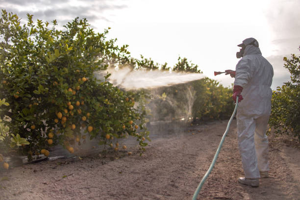 Bird Control in Shelby, MT