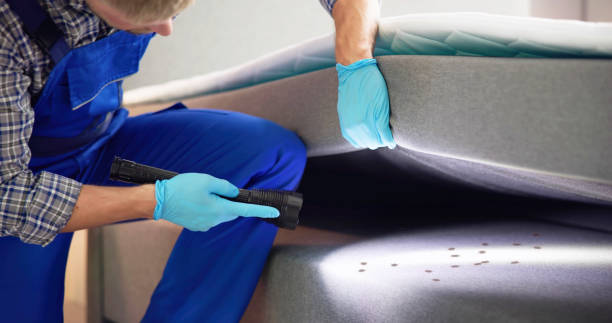 Best Residential Pest Control  in Shelby, MT