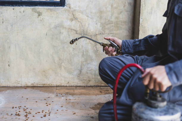 Best Affordable Pest Control Services  in Shelby, MT