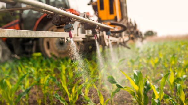 Best Ant Control Services  in Shelby, MT